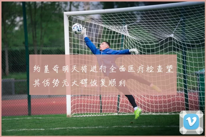 约基奇明天将进行全面医疗检查望其伤势无大碍恢复顺利