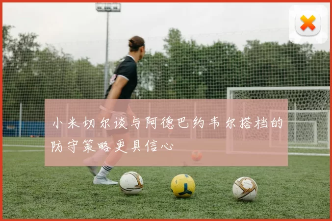 小米切尔谈与阿德巴约韦尔搭档的防守策略更具信心