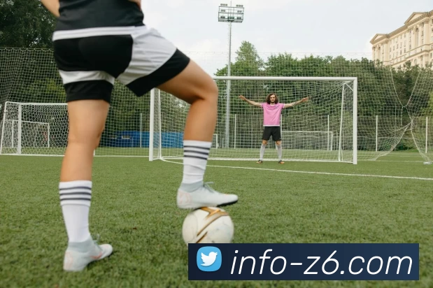 尊龙凯时APP 封面图